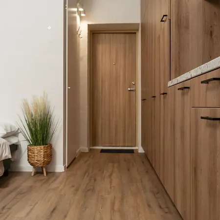 公寓 Air 106 维尔纽斯